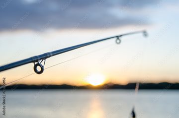 fishing pole on lake